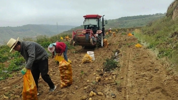 电商赋能“链”式发展 乡村特色产业向“新”而“兴”
